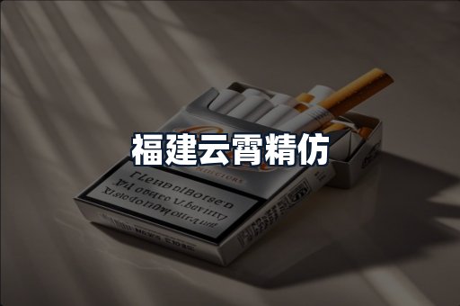 福建云霄精仿